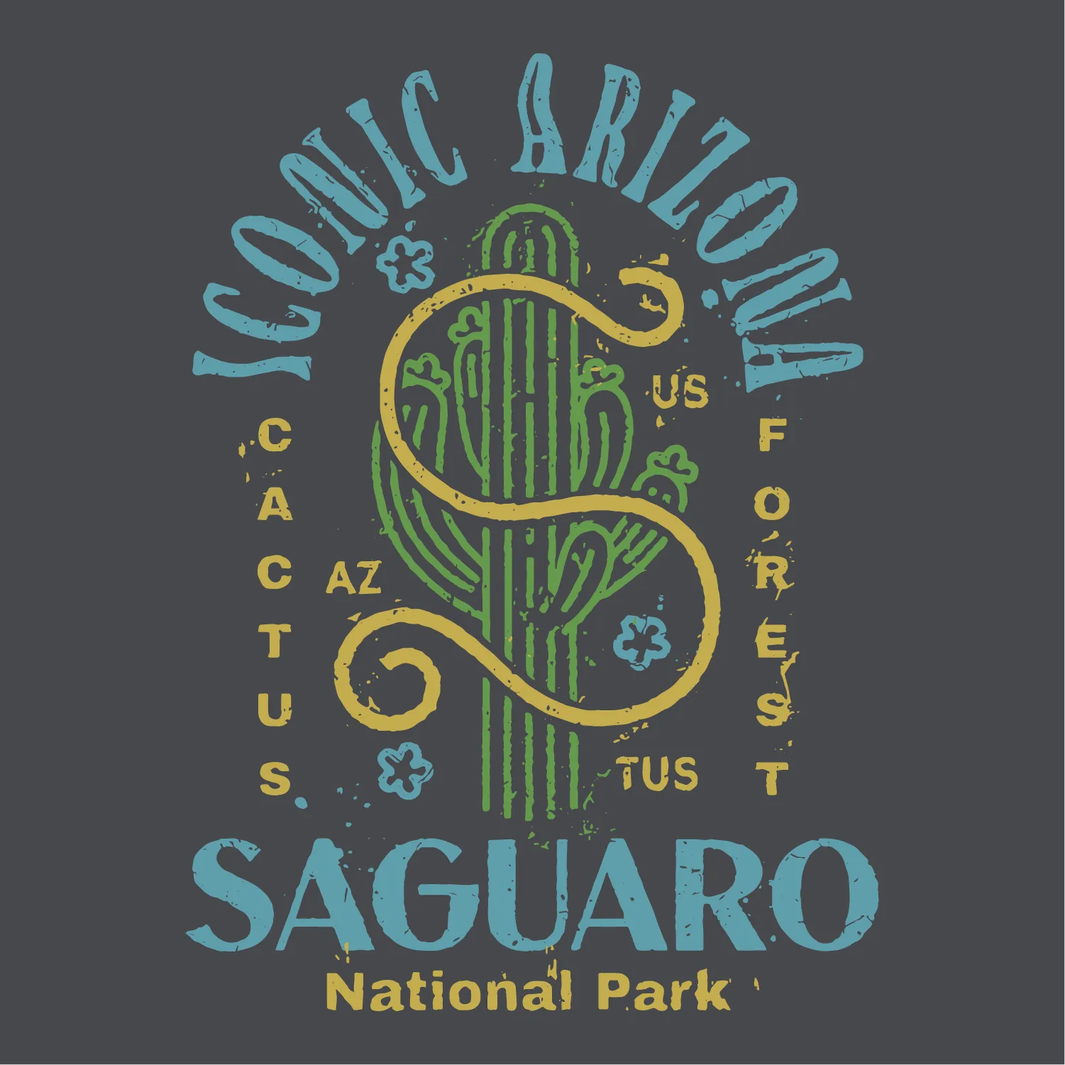 Big "S" Saguaro NP Ladies Boxy Crop