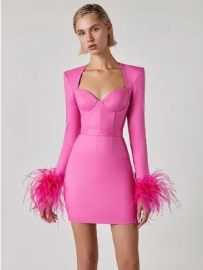 Long Sleeve Feathers Mini Bodycon Dress