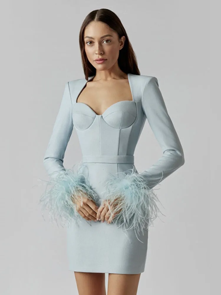 Long Sleeve Feathers Mini Bodycon Dress
