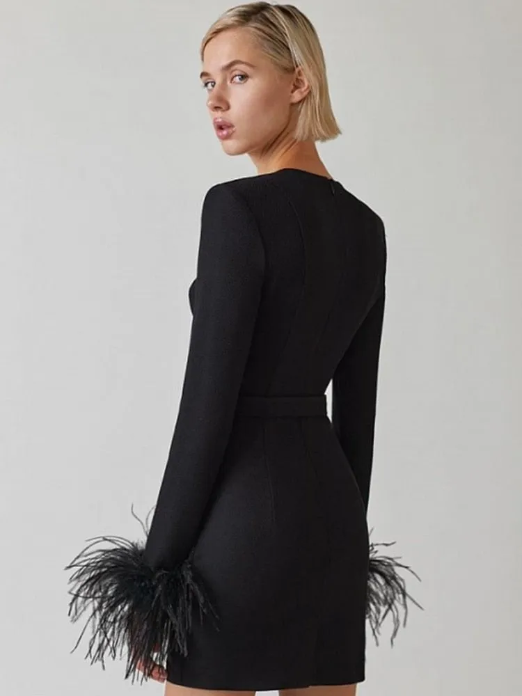 Long Sleeve Feathers Mini Bodycon Dress