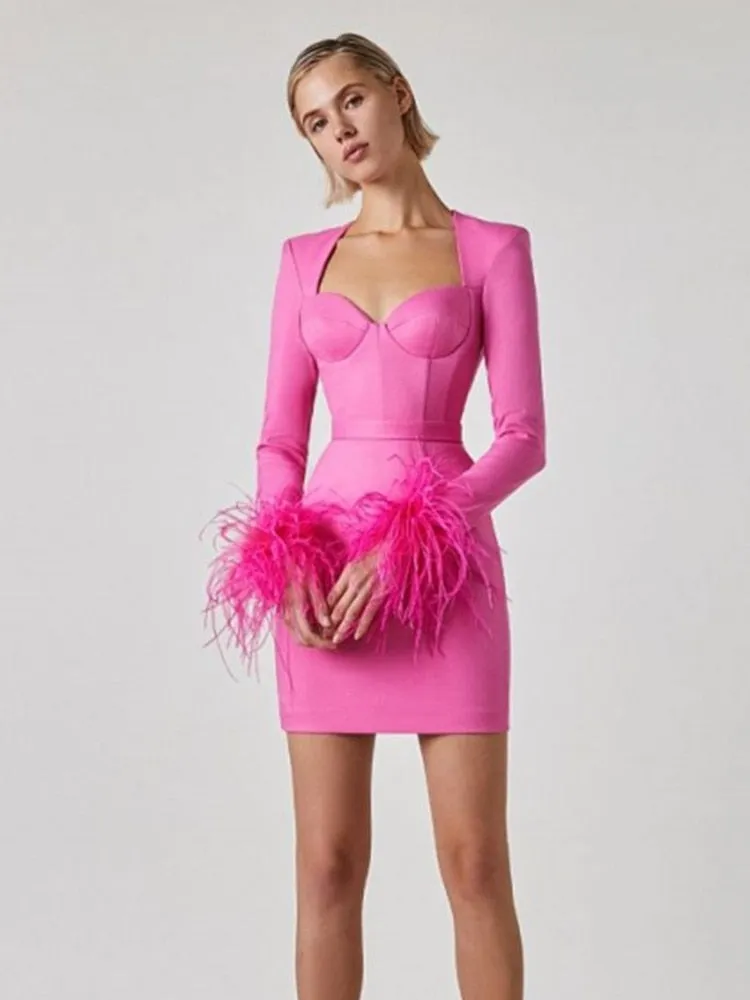 Long Sleeve Feathers Mini Bodycon Dress